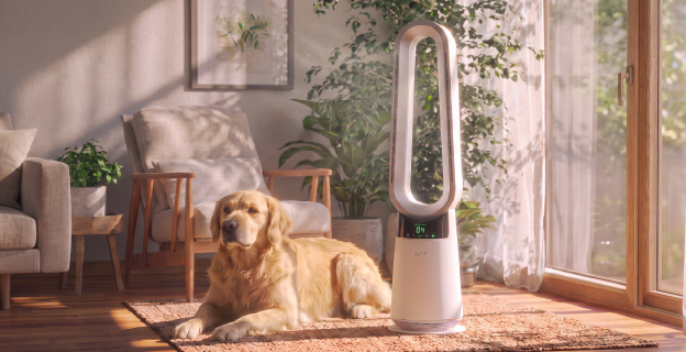 Luxen vacuum and air purifier in a pet-friendly living room